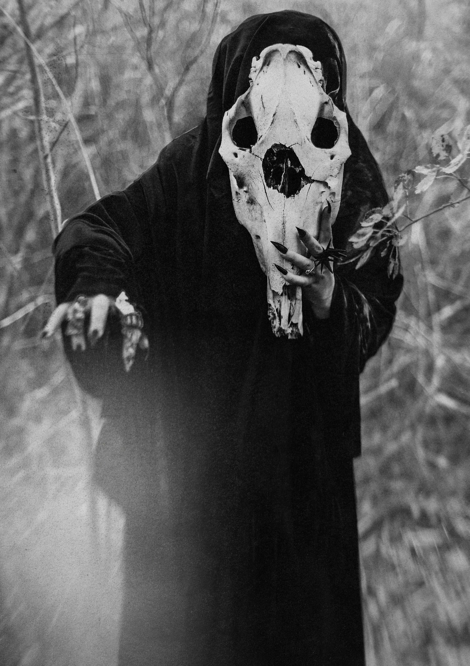 Horror e Spooky